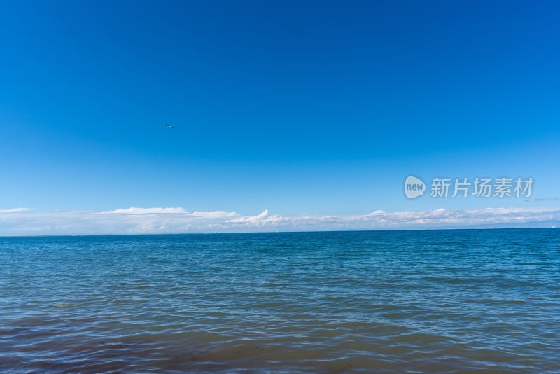 青海湖美景