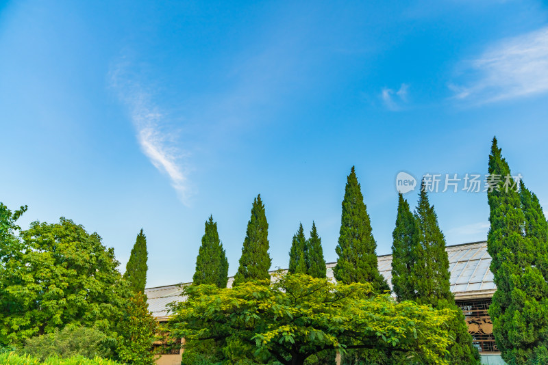 中国古风建筑园林风景