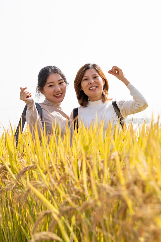 上海嘉北郊野公园稻田景观人像