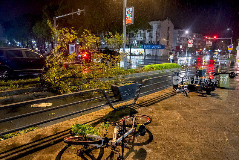 台风携带暴雨造成树木损毁车辆吹倒