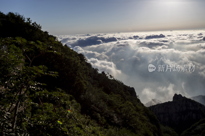 泰山云海奇观