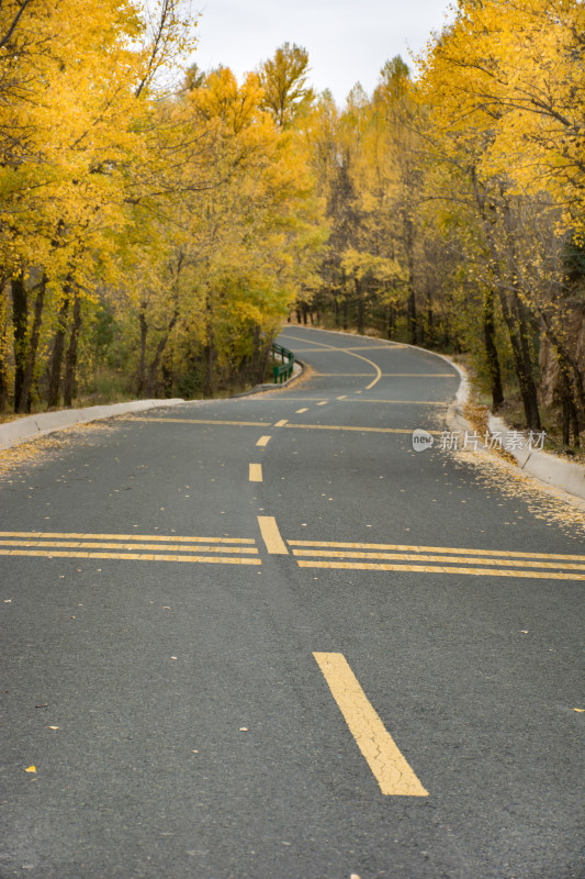 秋天的乡村公路