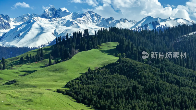 航拍草原雪山森林自然风光