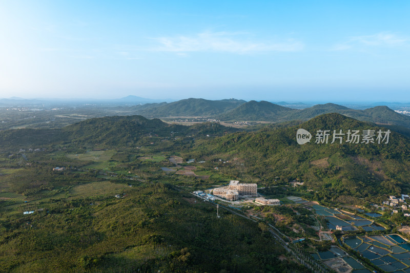 航拍海南万宁漫山遍野的椰树林