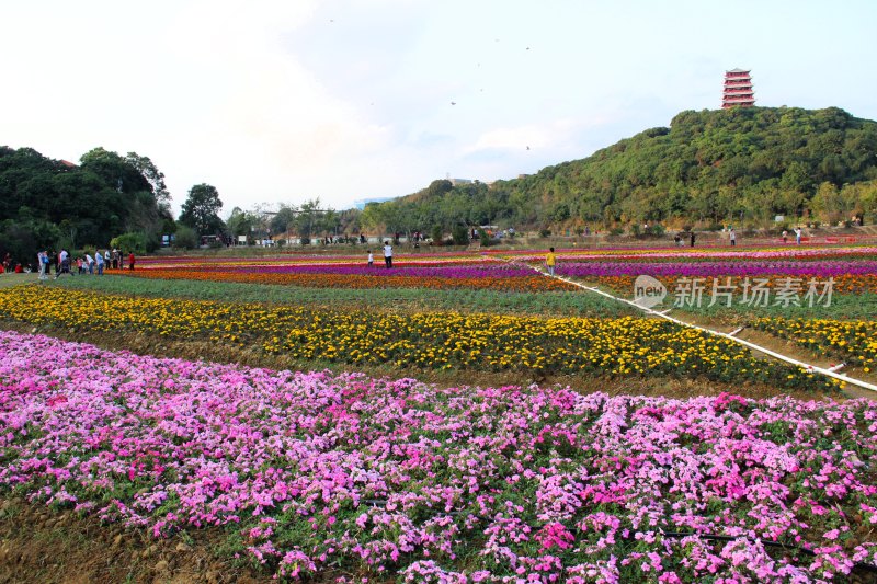 广东东莞：大王山森林公园