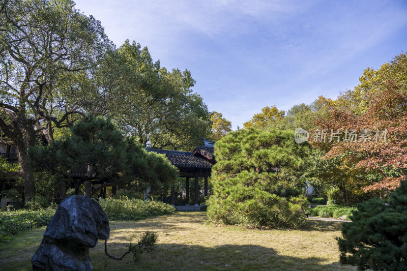 杭州西湖风景区曲院风荷风景