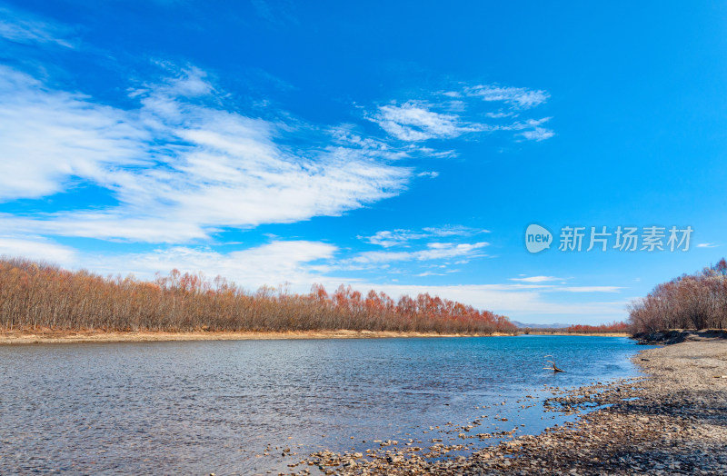 内蒙古呼伦贝尔额尔古纳湿地公园河流秋景