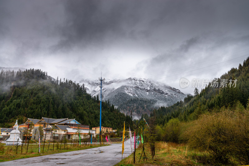 雪山森林里的公路