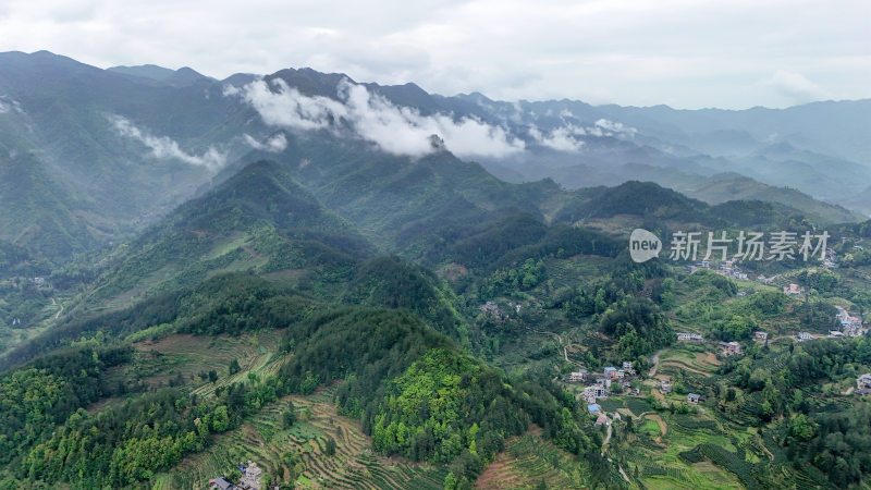 重庆酉阳：晨雾细雨美青山