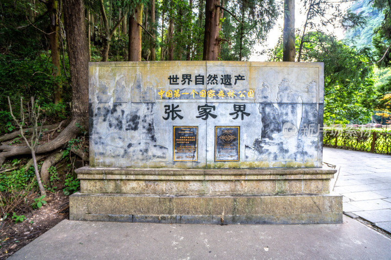 中国湖南张家界景区奇特山峰与茂密森林