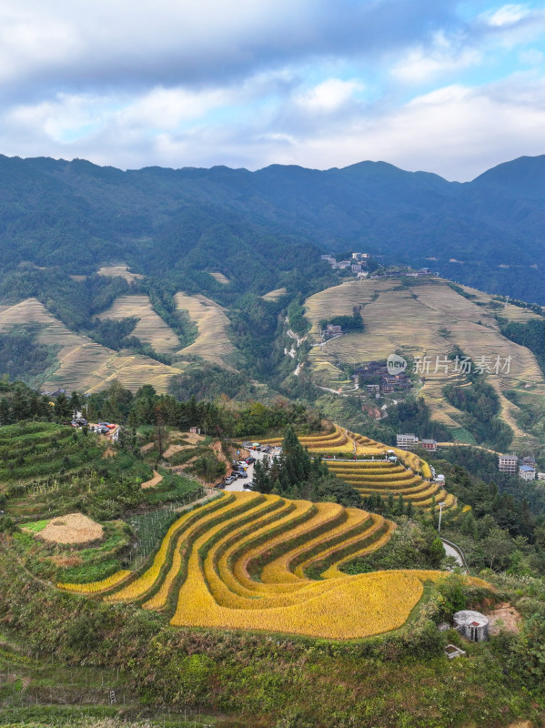 山间多彩梯田景观壮观的自然风景图