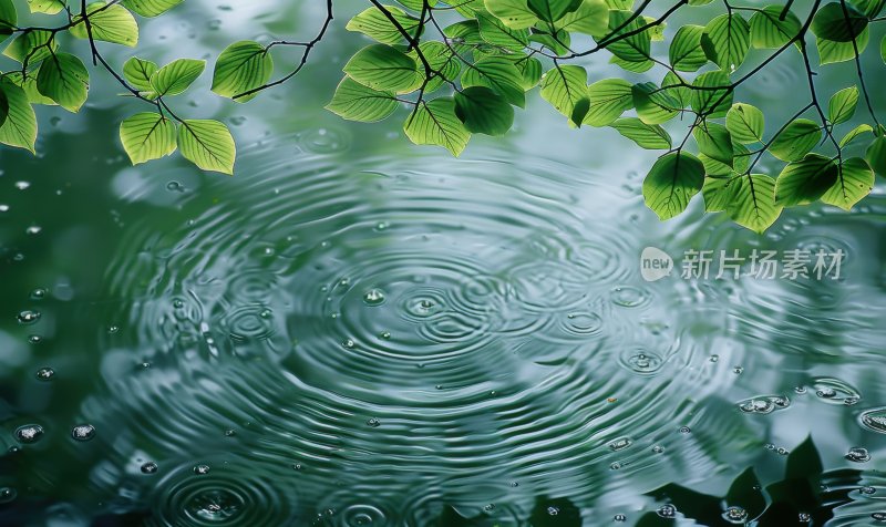 小雨绿叶水面雨滴涟漪水波纹下雨背景