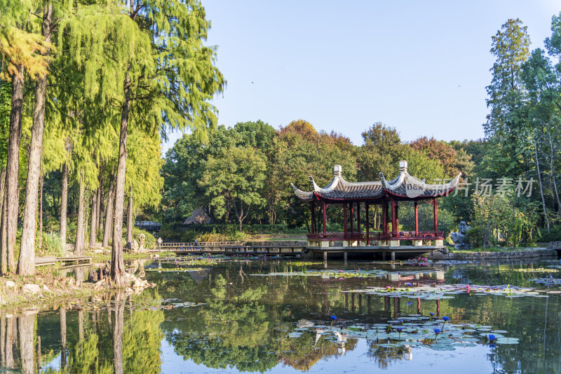 武汉植物园