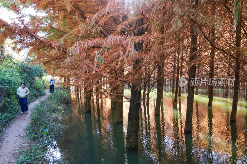 昆明寻甸三月三：色彩斑斓  冬景如画