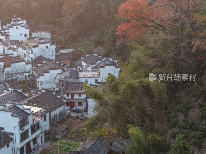 江西上饶婺源长溪红枫航拍