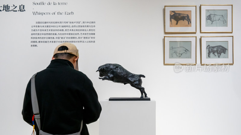 成都博物馆的法兰西艺术院中法院士艺术特展