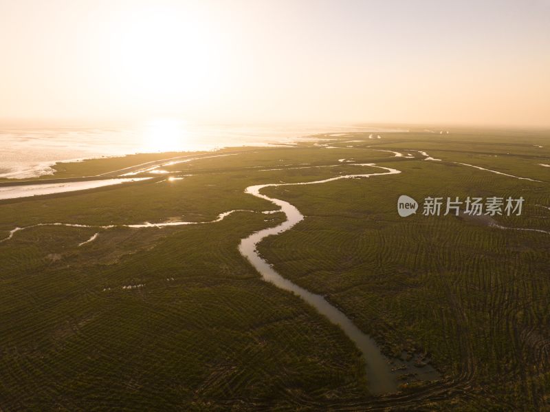 盐城黄海野鹿荡滩涂风光