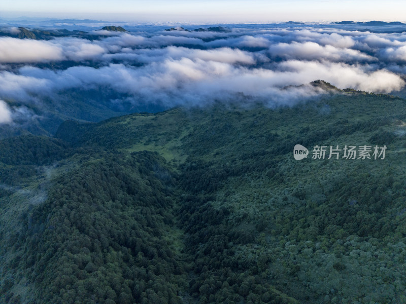 大自然高山云海湖北神农顶5a景区