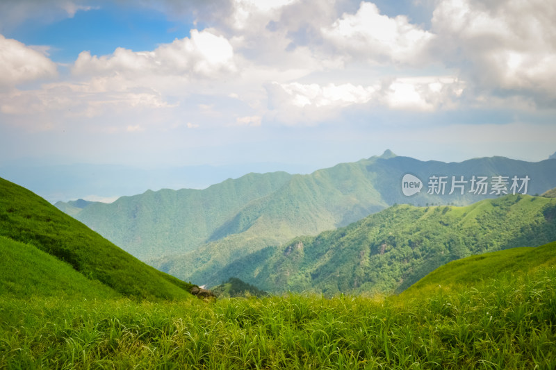 江西武功山高山草甸