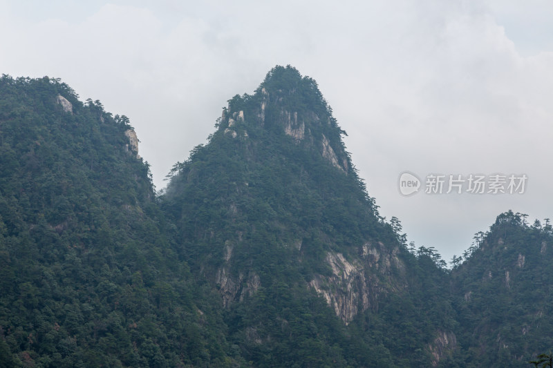 云海中的大明山