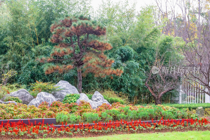 南京钟山风景名胜区明孝陵园林风景