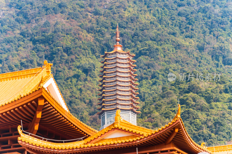 广东省深圳市罗湖区仙湖植物园内弘法寺