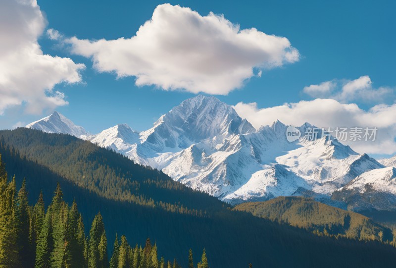 雪山高原草原森林风景