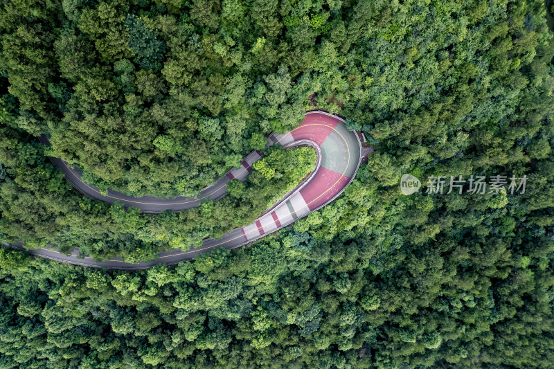 掩映在高山森林里的蜿蜒的山路