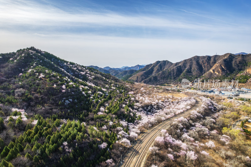 北京居庸关花海