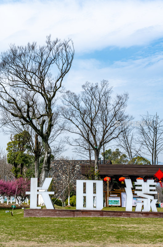 浙江湖州长田漾湿地公园春色