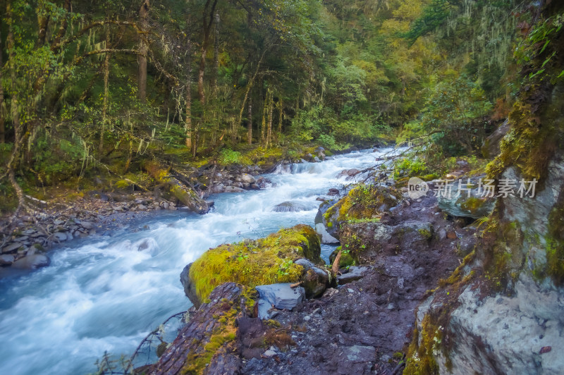 山林河谷湍急的河流