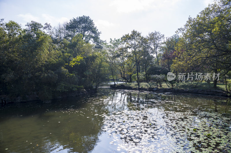 杭州西湖花港观鱼风景