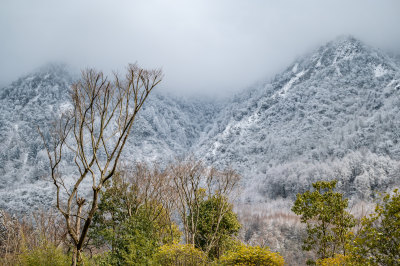 下雪后的川西卧龙风景