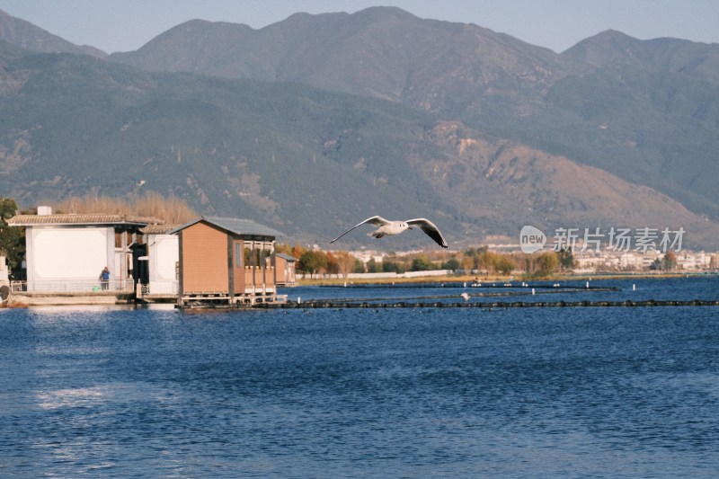 湖边小屋飞鸟与远山景色