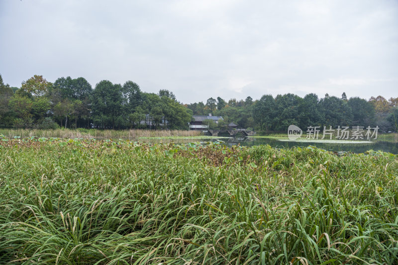 杭州三台山乌龟潭风景