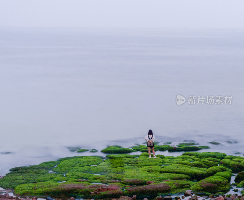 绿藻布满岩石的海岸边站着一位少女