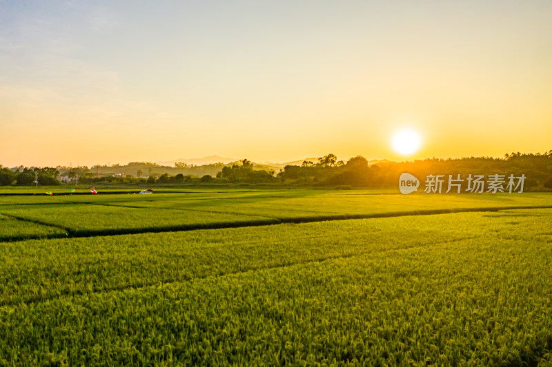 夕阳下的田野风光航拍