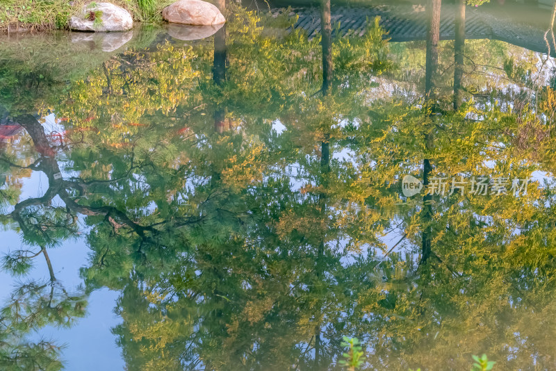 晴朗的午后，扬州瘦西湖江南园林风景