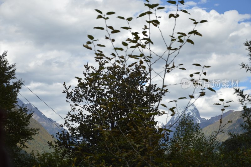 西藏巴松措景区风景