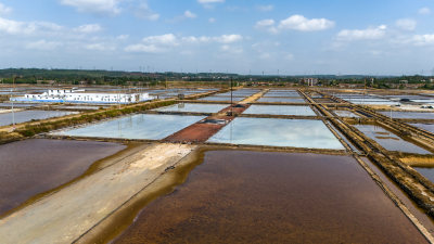 湛江市雷州盐场马留盐田