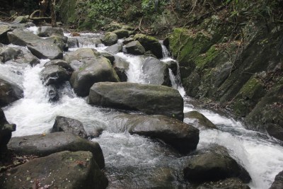 广东东莞：山涧流水潺潺