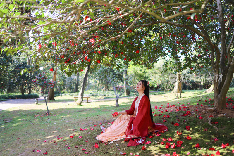 穿着汉服的女人坐在山茶花树下