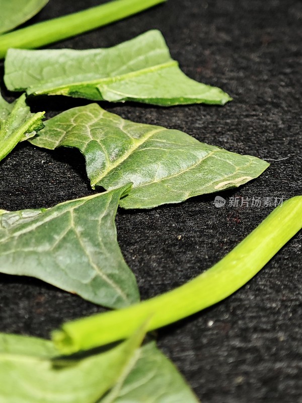 新鲜绿叶蔬菜特写