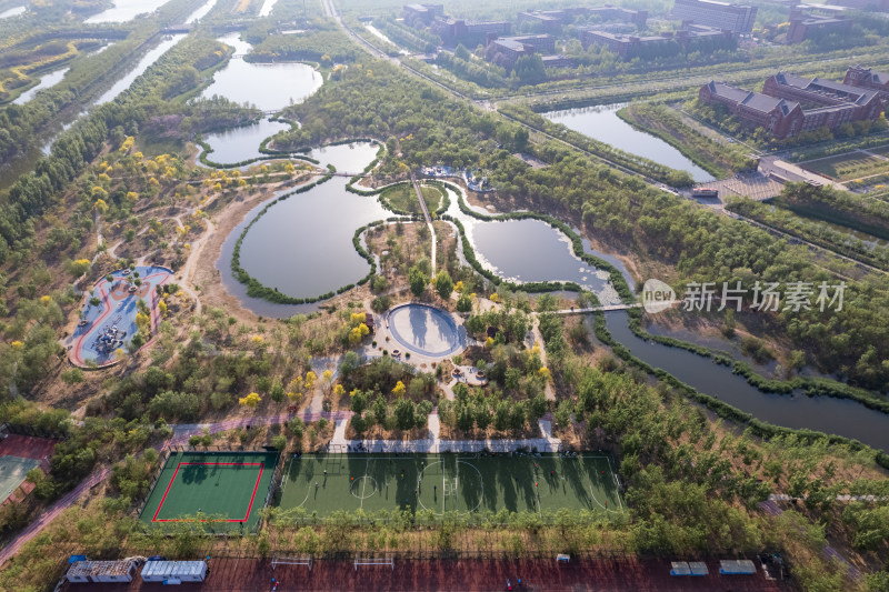 天津海河教育园区湿地公园自然风光航拍