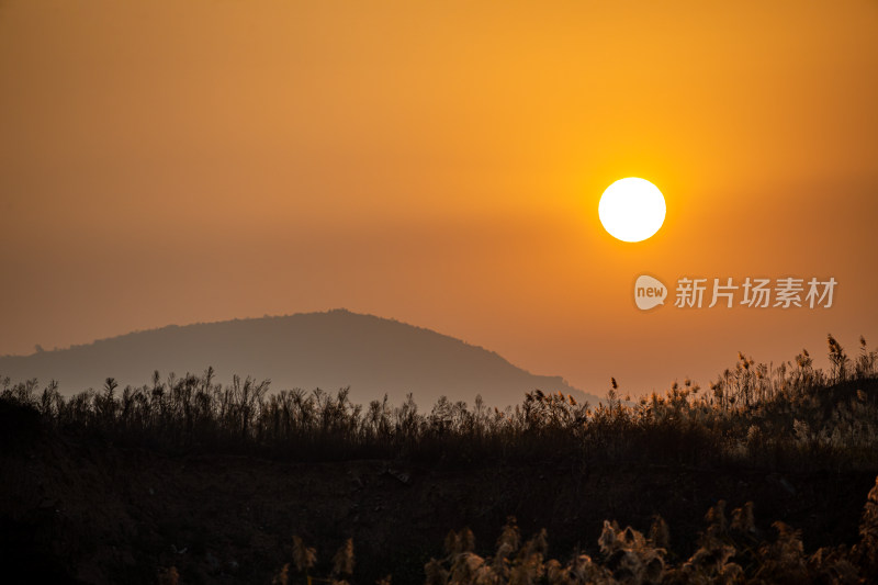 日落时分远山与植物景观