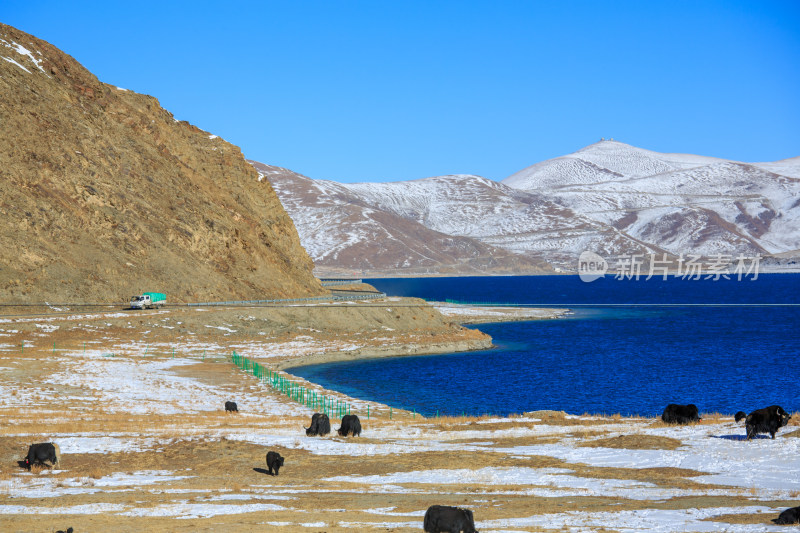 中国西藏羊卓雍措湖羊湖冬季雪景