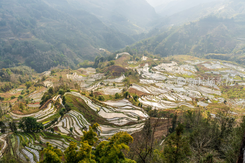 红河州元阳梯田自然风光