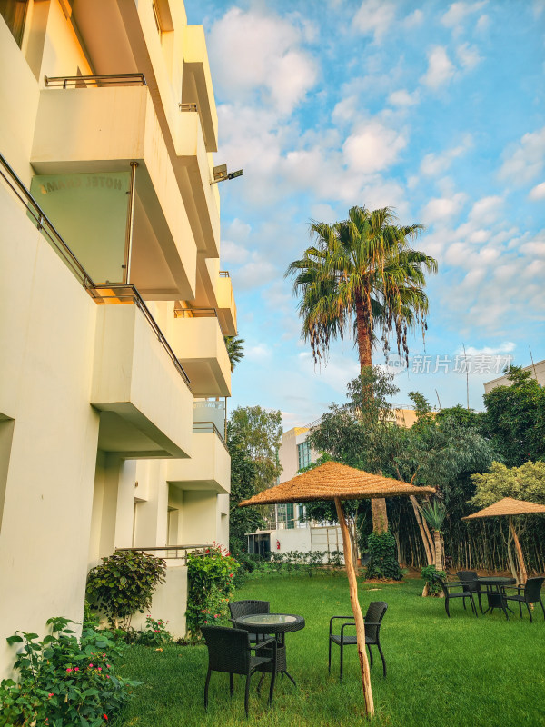 酒店户外庭院绿植景观