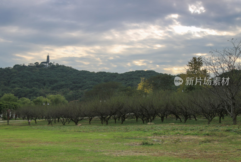 山林 远山 古塔