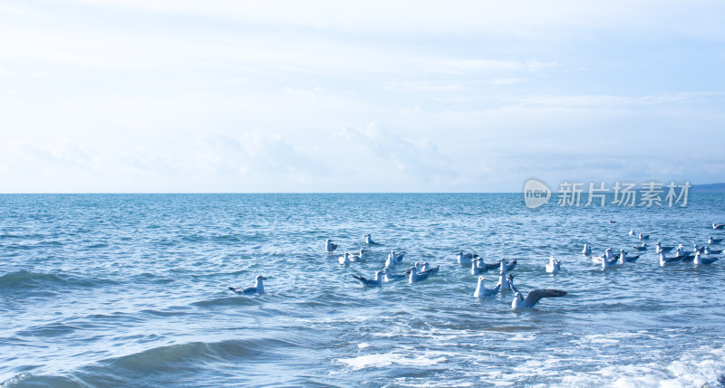 中国西部青海青海湖秋季自然风光